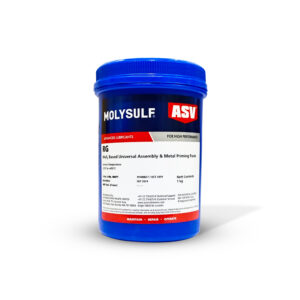 ASV RG